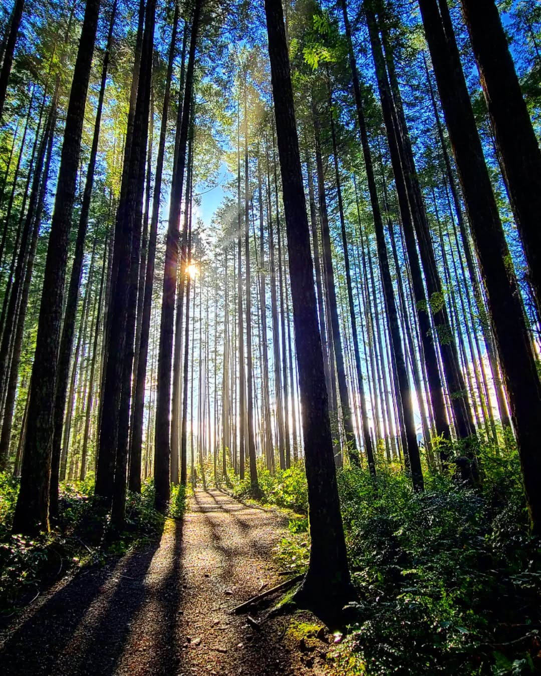 Post 10 by Julie Giesbrecht on Instagram (image)