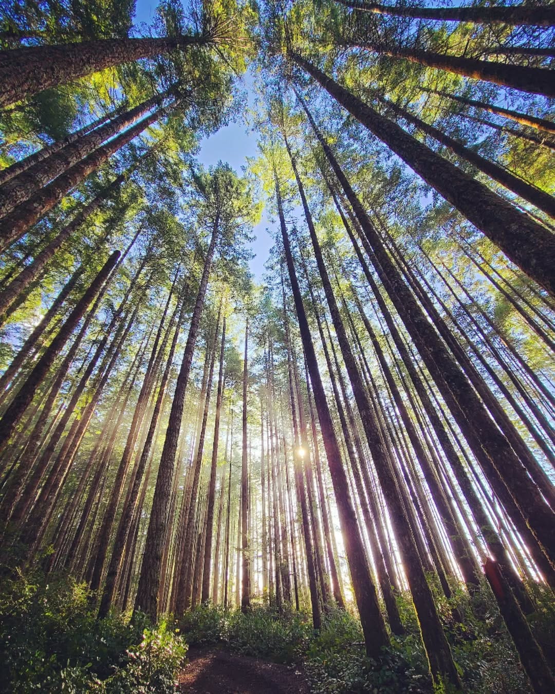 Post 8 by Julie Giesbrecht on Instagram (image)