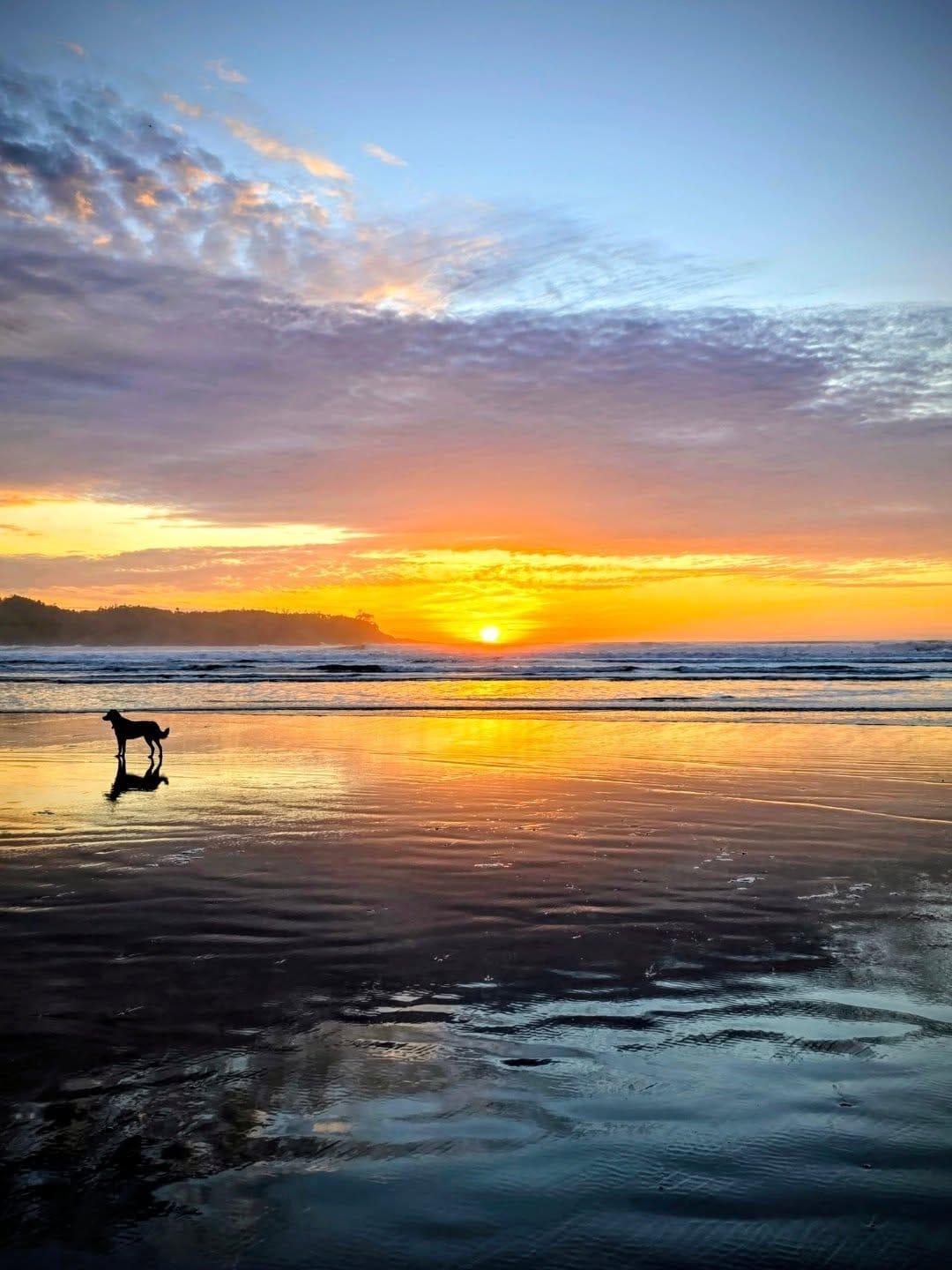 Post 6 by Julie Giesbrecht on Instagram (image)