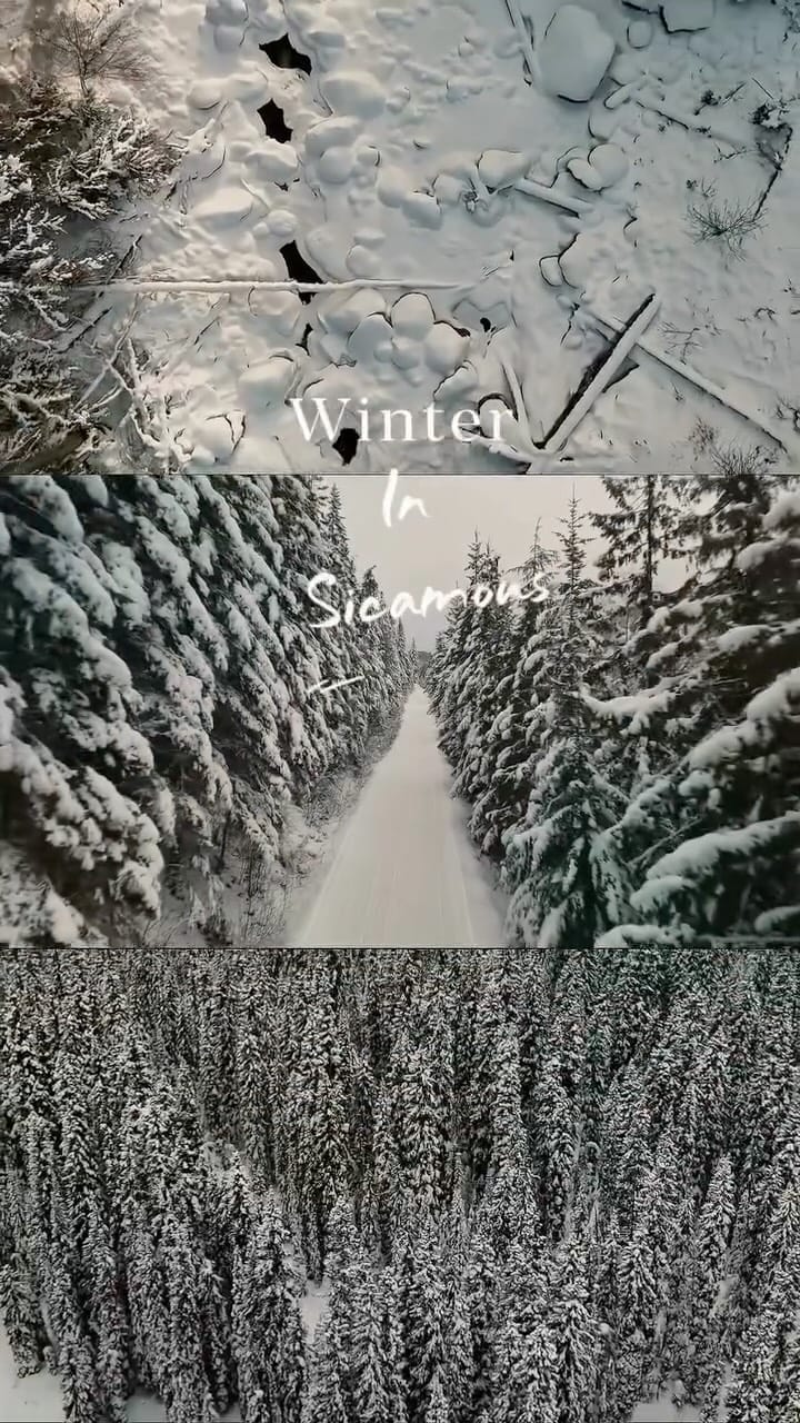 Post 3 by Thompson Okanagan on Instagram (video)