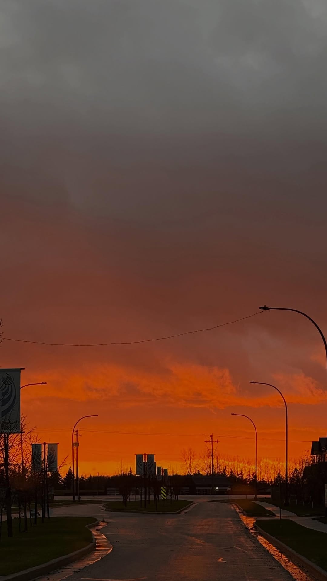 Post 8 by L U C I A N A  R U A L E S on Instagram (video)