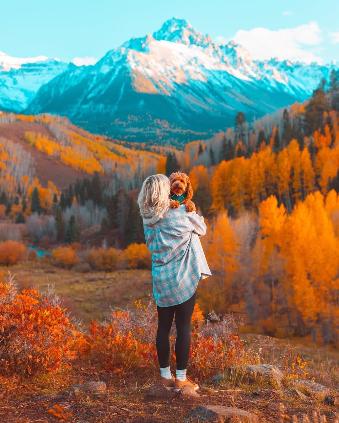 Post 5 by Alex Jiggs on Instagram (image)