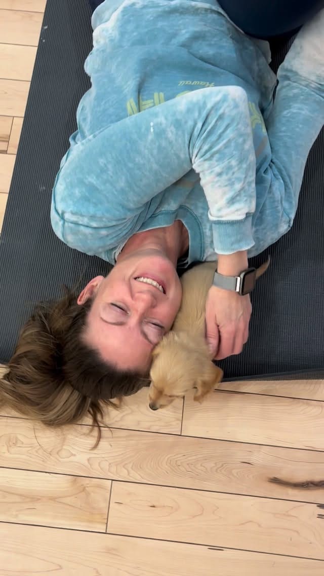 Post 1 by PuppyYoga Calgary on Instagram (video)