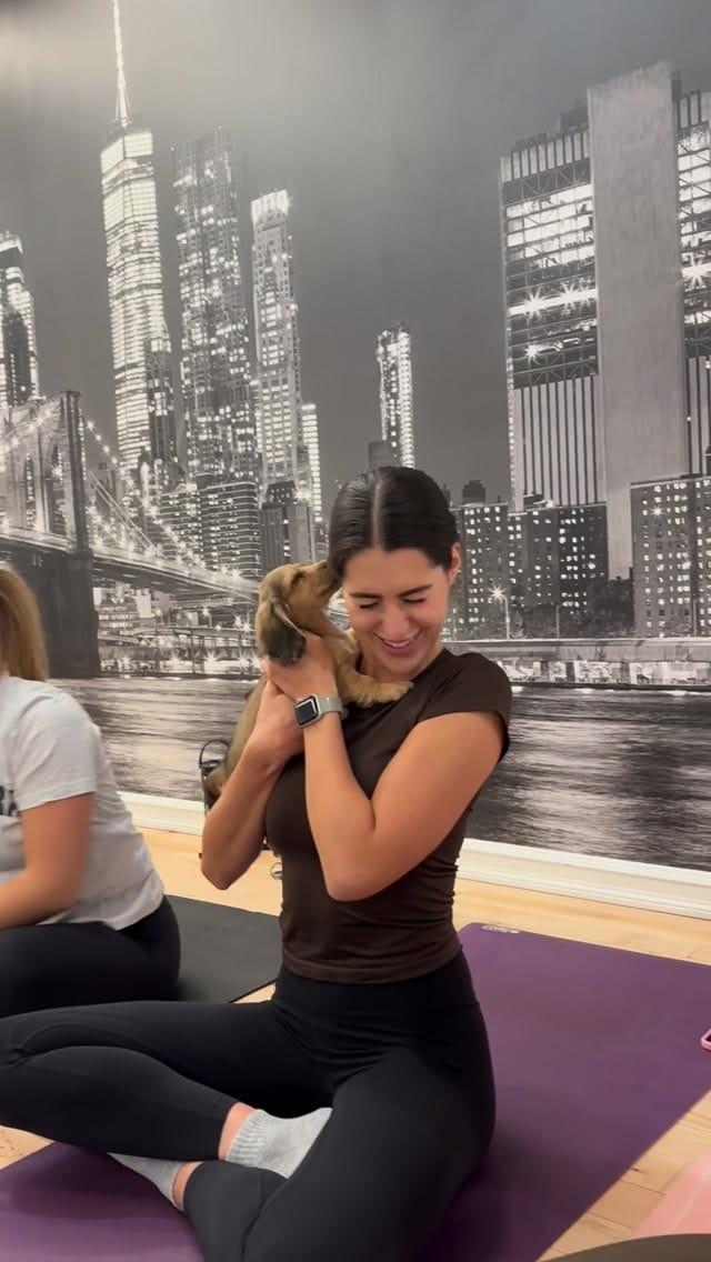Post 3 by PuppyYoga Calgary on Instagram (video)