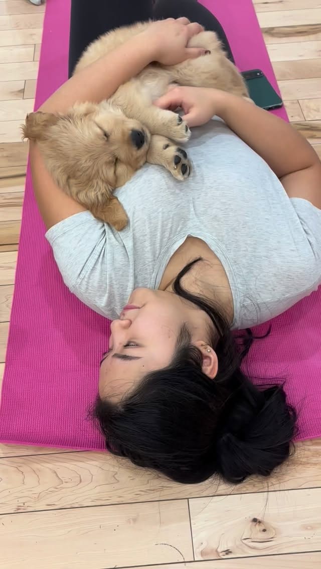 Post 10 by PuppyYoga Calgary on Instagram (video)