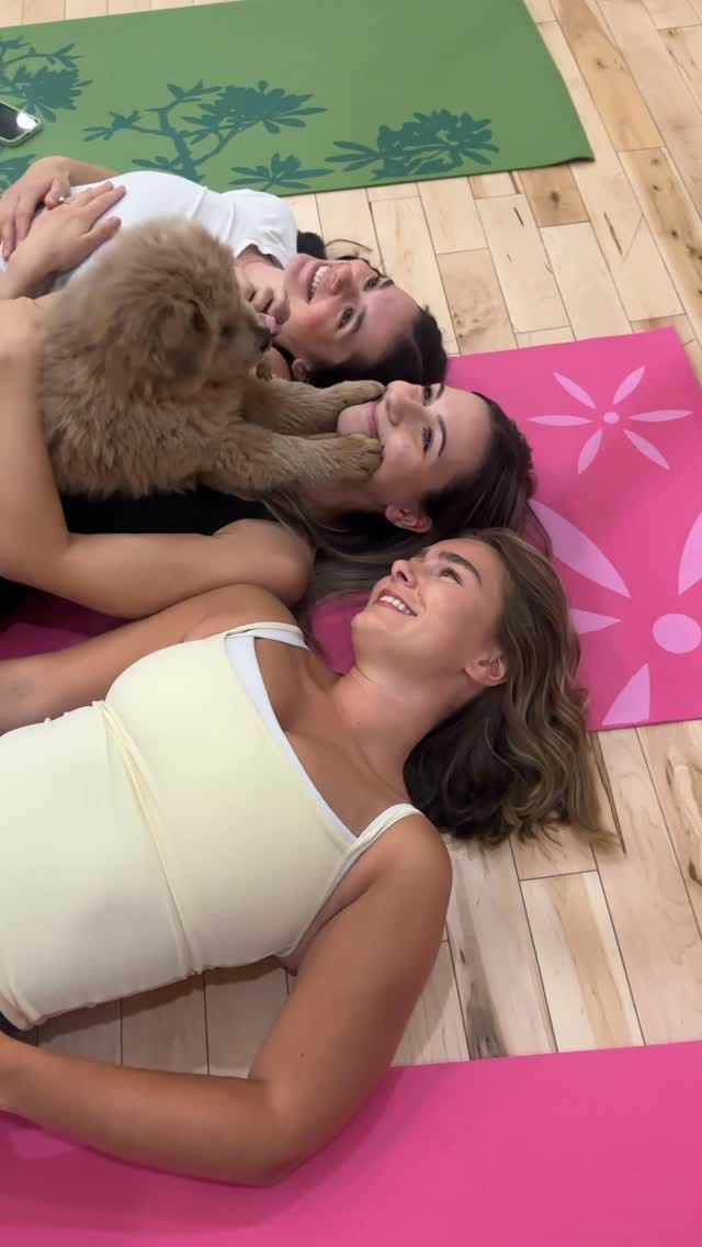 Post 7 by PuppyYoga Calgary on Instagram (video)
