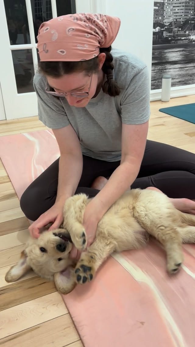Post 4 by PuppyYoga Calgary on Instagram (video)