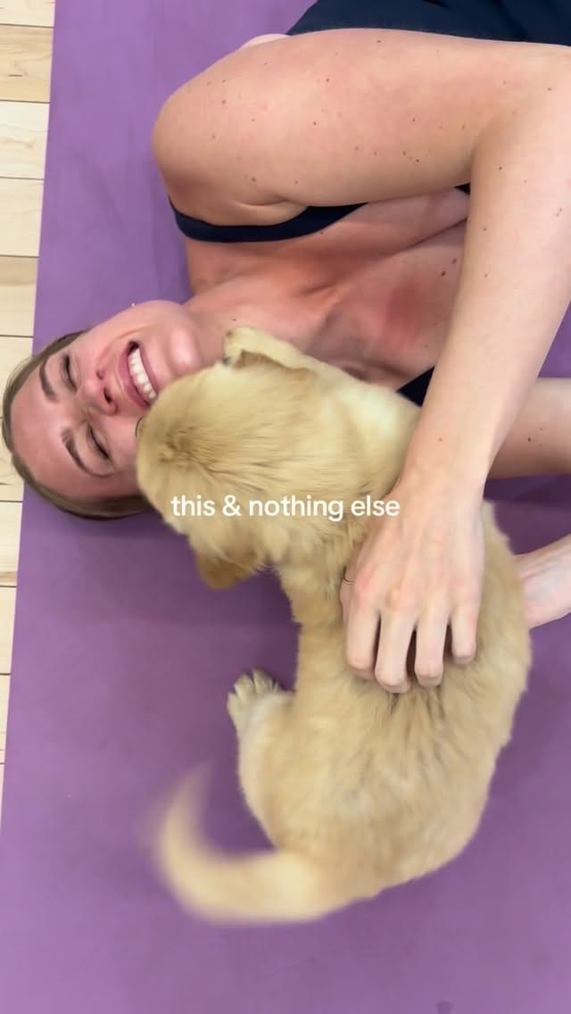 Post 6 by PuppyYoga Calgary on Instagram (video)