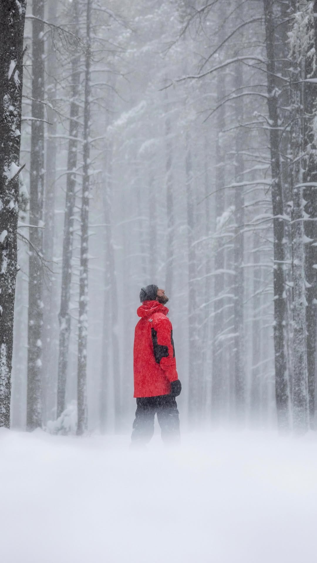 Post 4 by The Saskatchewanderer on Instagram (video)