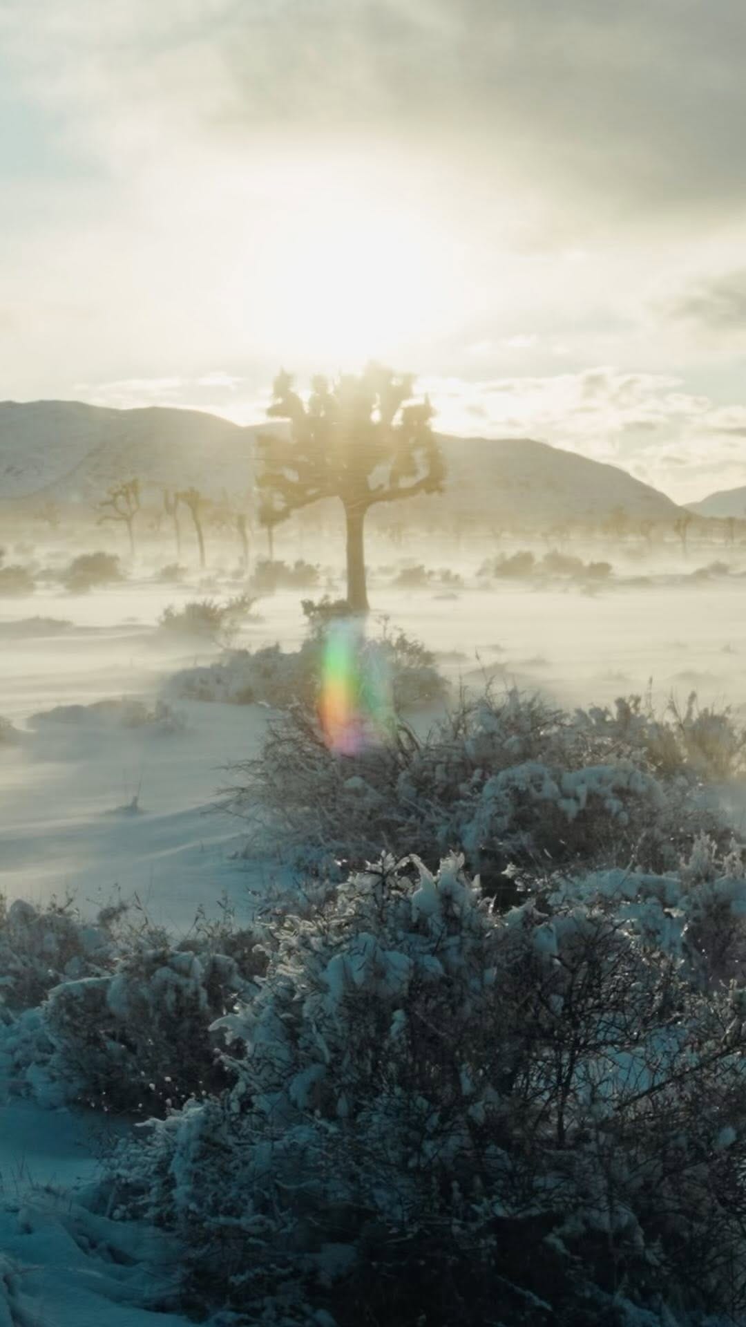 Post 8 by MARCO CALARA on Instagram (video)