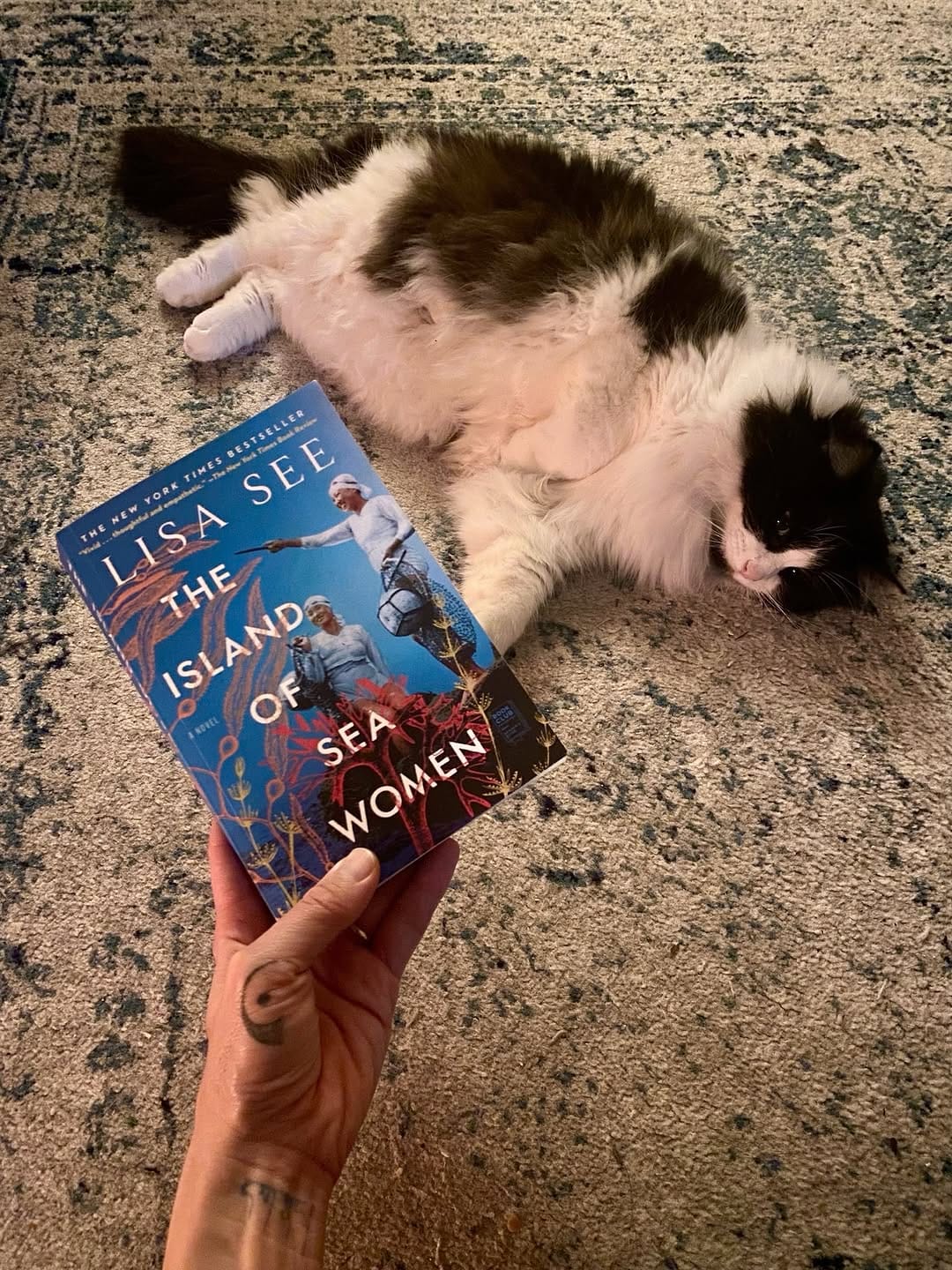 Post 8 by Dr. Agni Larsen | 吳文君 on Instagram (image)