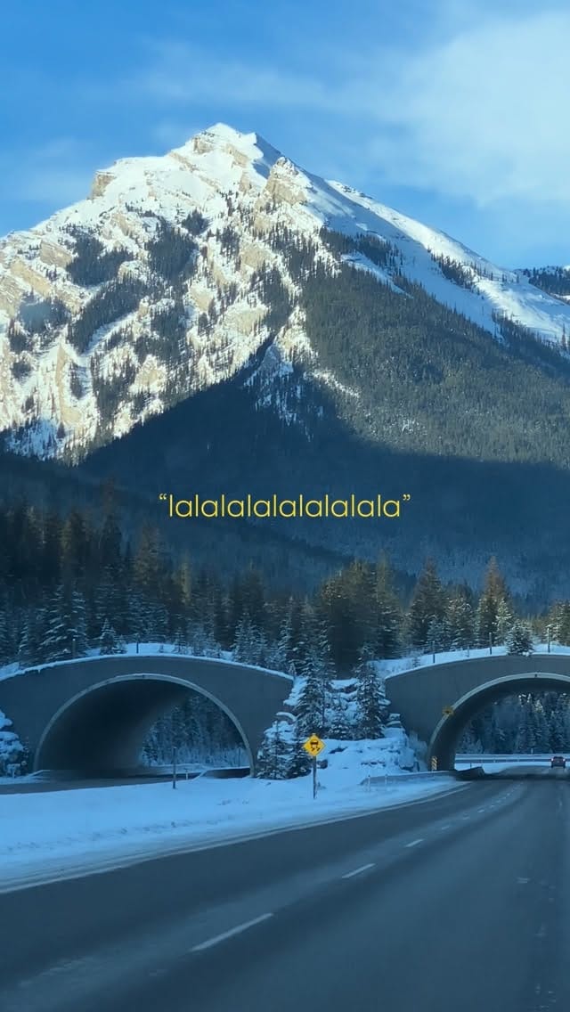 Post 3 by Vibhati Sharma on Instagram (video)