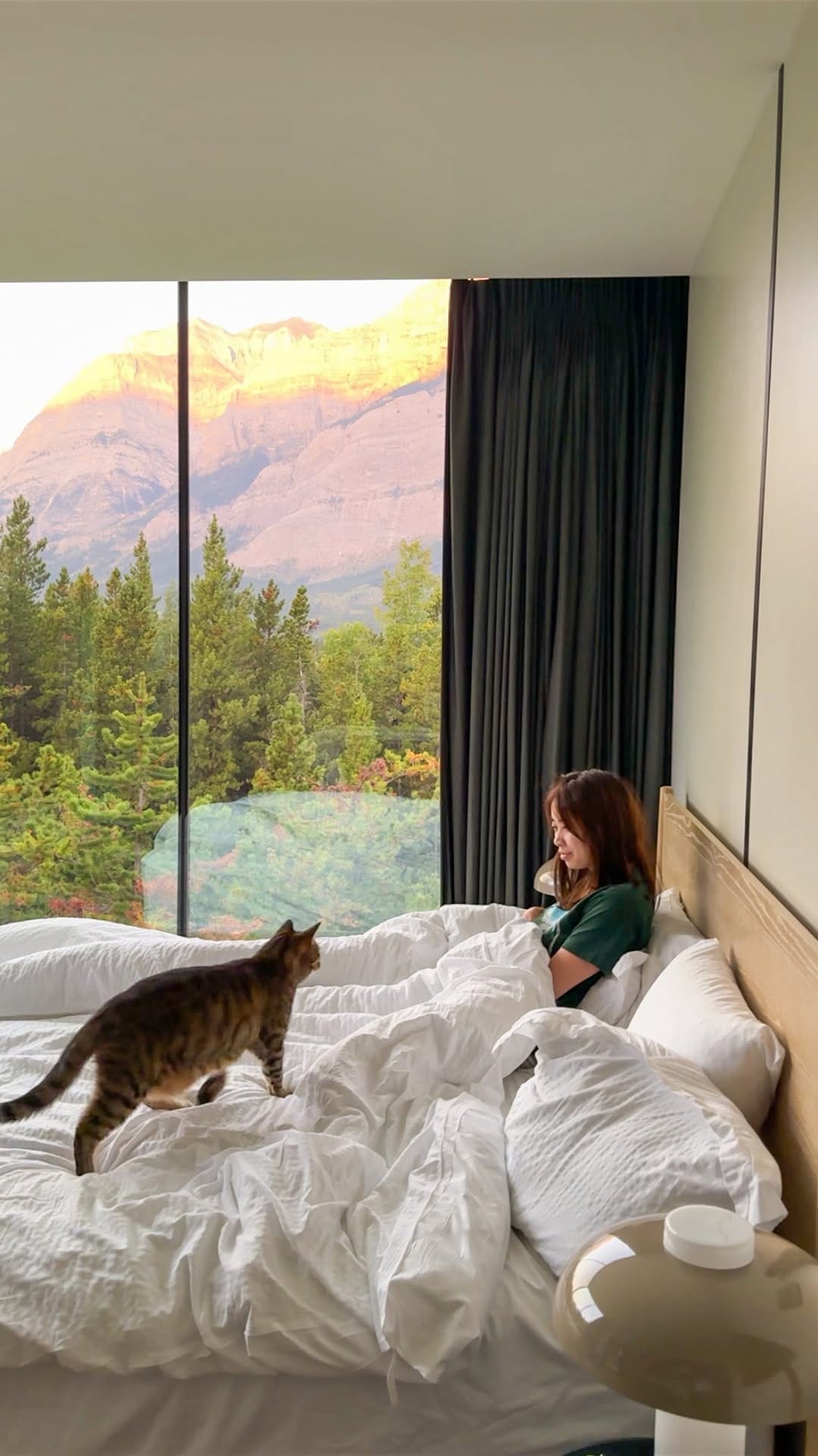 Post 7 by Teddy 🐯 & Selvynna on Instagram (video)