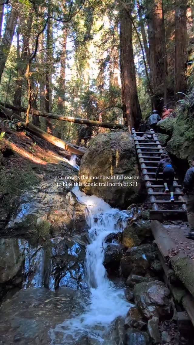 Post 1 by Jane 🥂 SF Bay Area food & fun on Instagram (video)