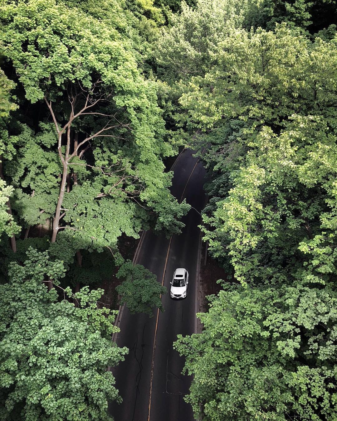 Post 2 by John Benedict on Instagram (image)
