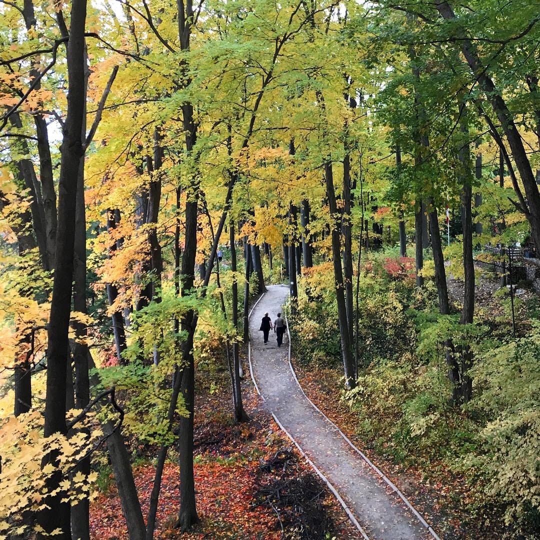 Post 9 by John Benedict on Instagram (image)