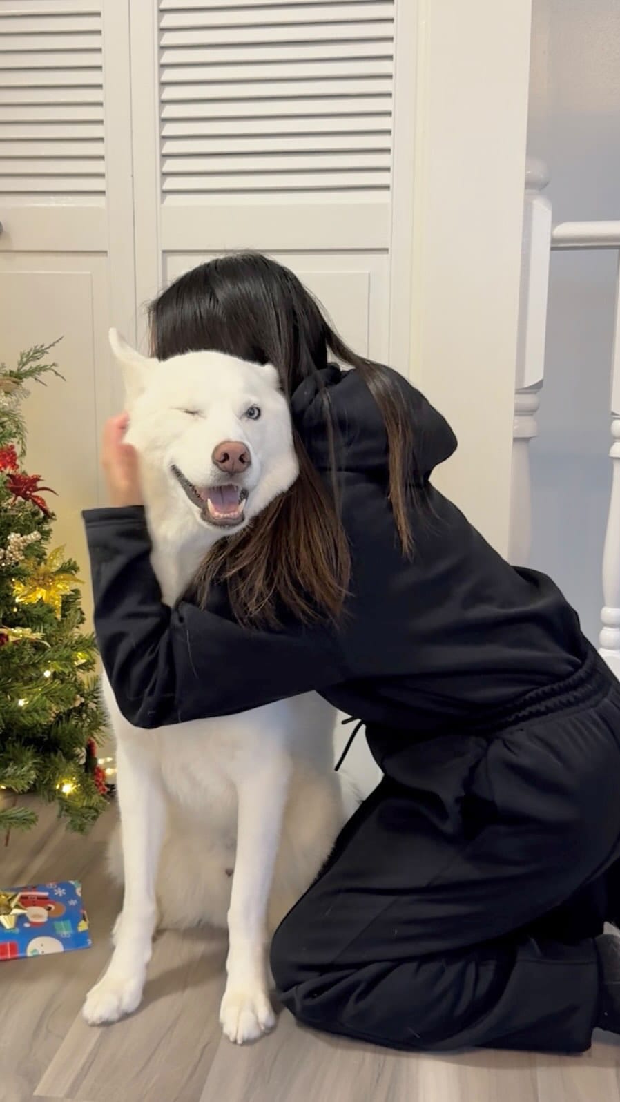 Post 6 by Ginkgo + Victoria on Instagram (video)
