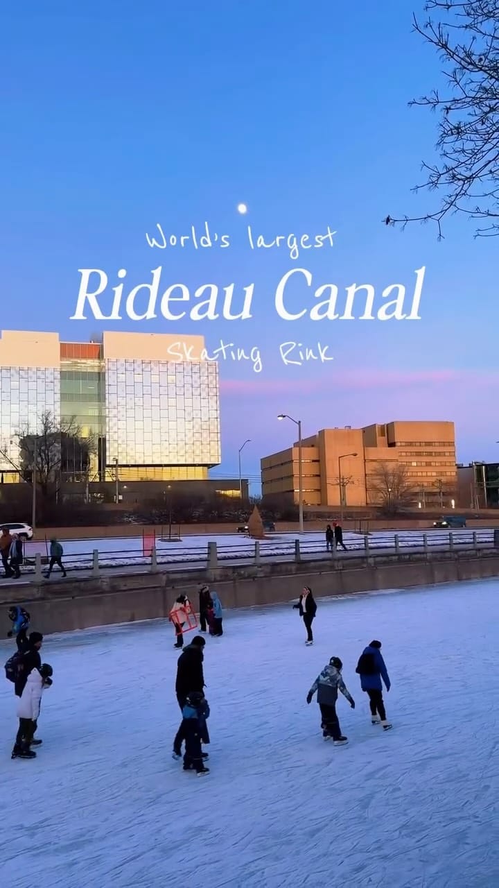 Post 4 by Julia Weber on Instagram (video)