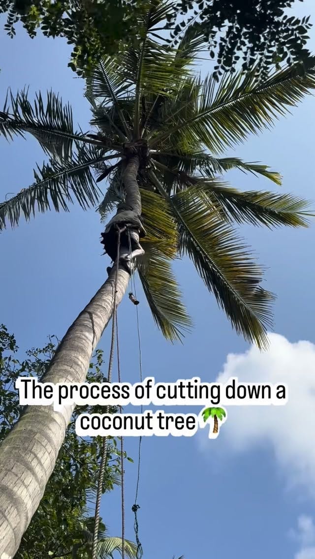 Post 7 by Davidbillacomedy . RLE SoundCrew on Instagram (video)