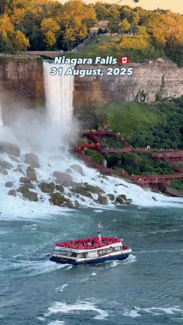 Post 4 by Tushaar Manocha on Instagram (video)