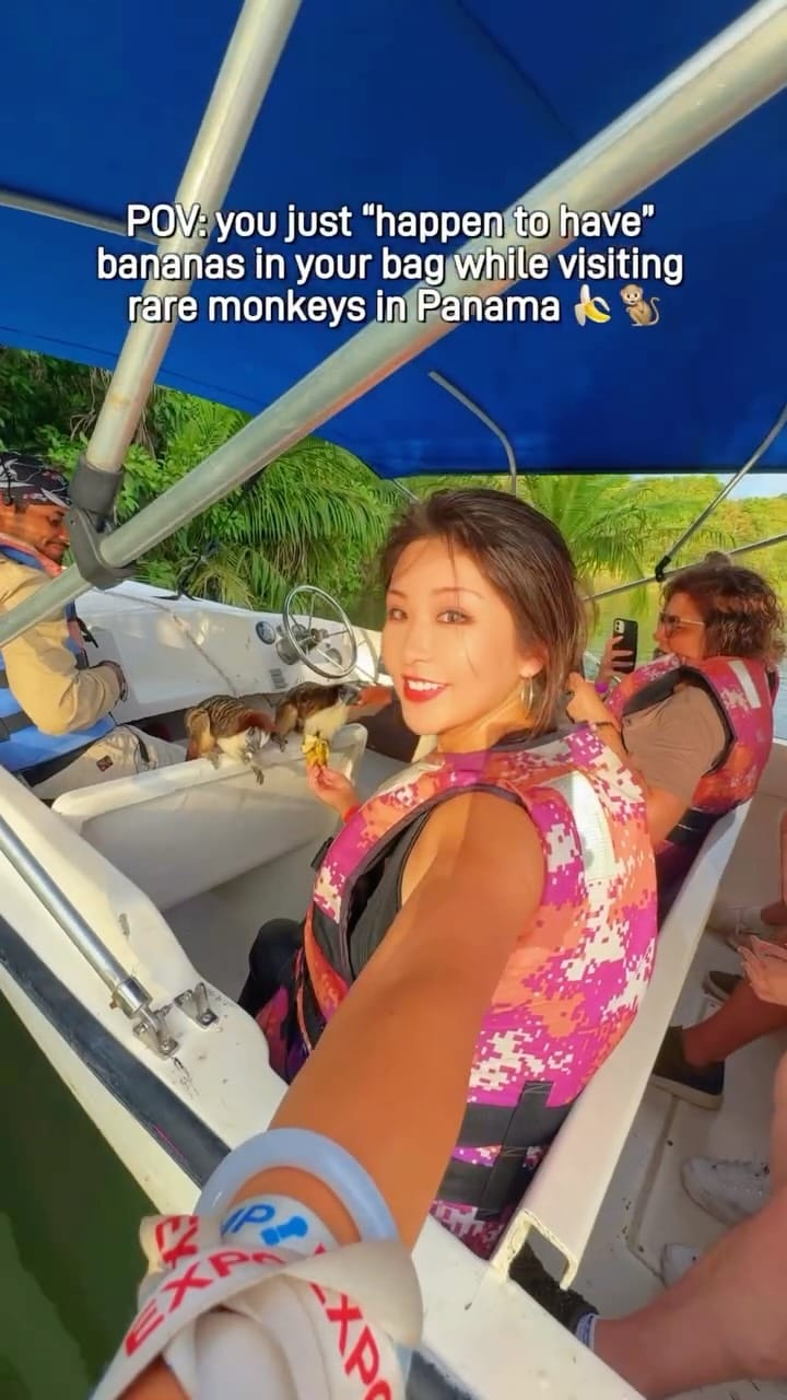 Post 3 by Alina Wan on Instagram (video)