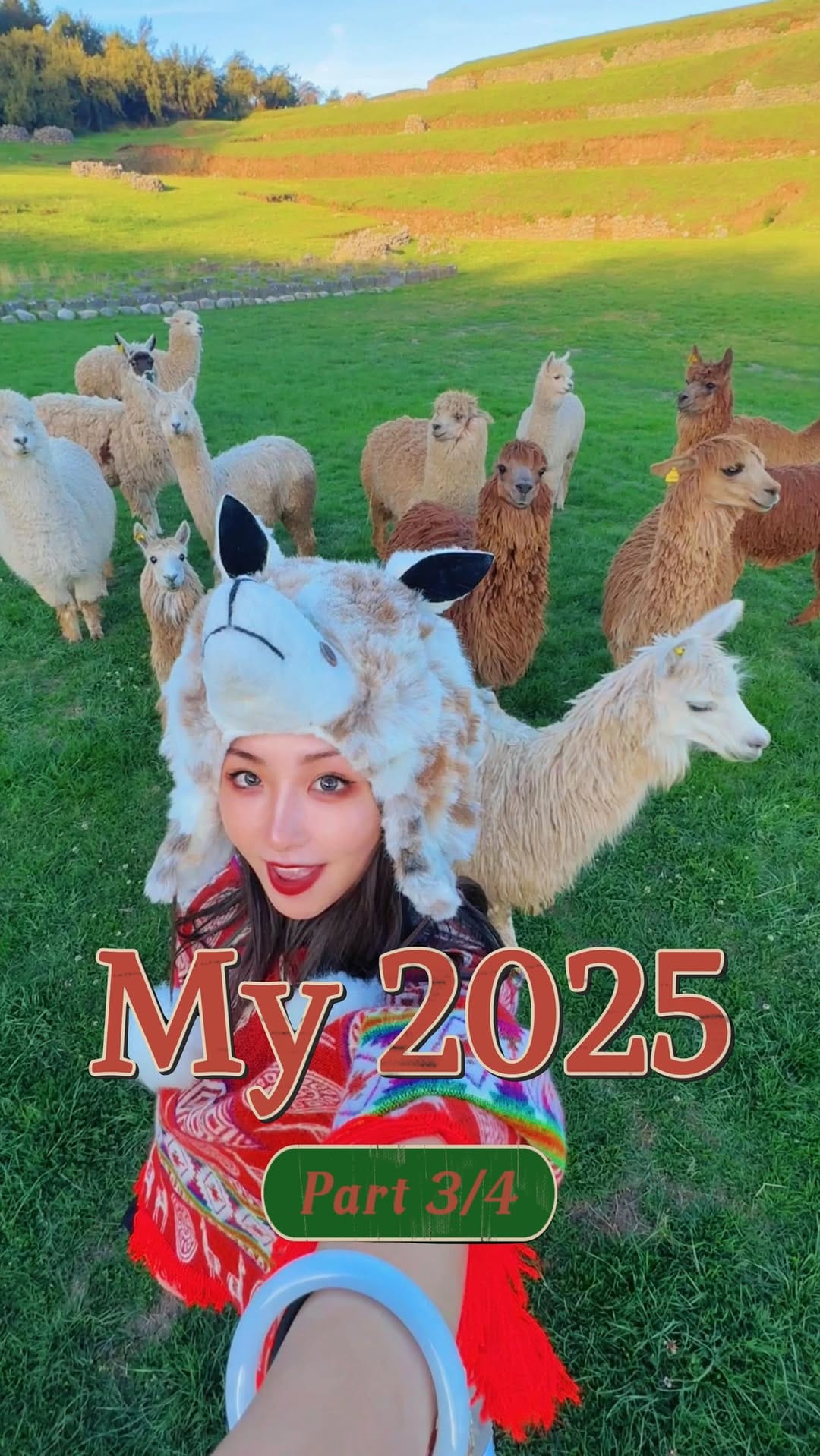 Post 9 by Alina Wan on Instagram (video)
