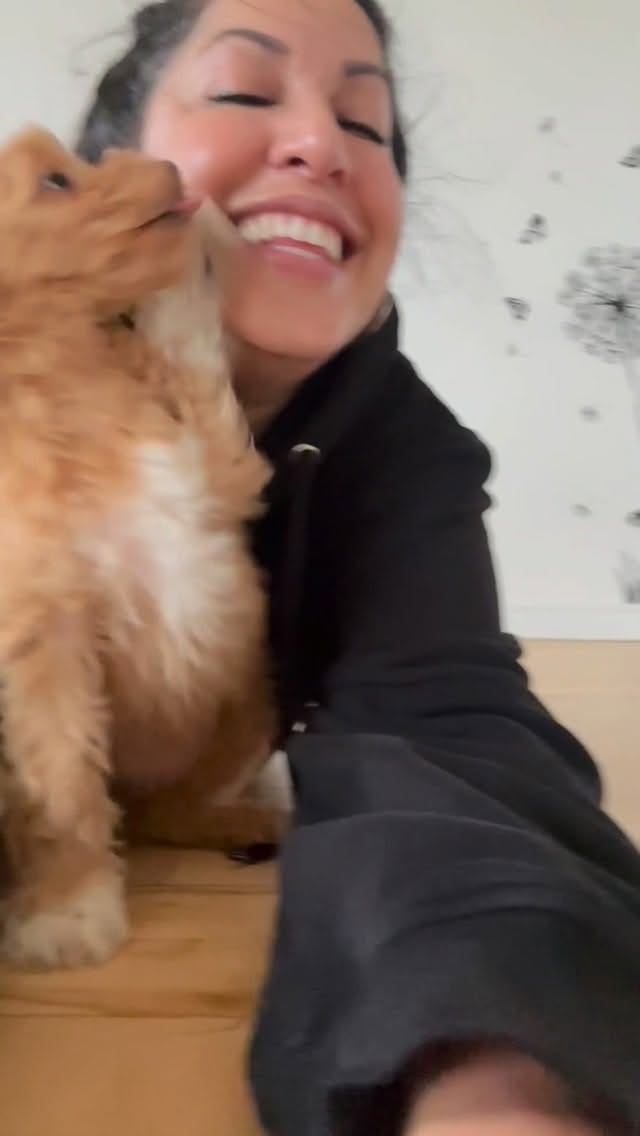 Post 10 by PAWPALS PUPPY YOGA on Instagram (video)