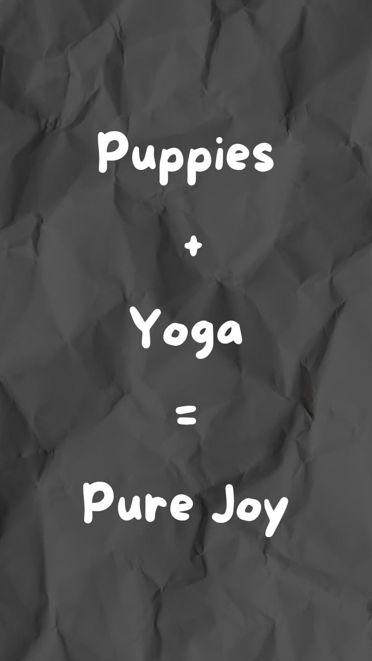 Post 7 by PAWPALS PUPPY YOGA on Instagram (video)