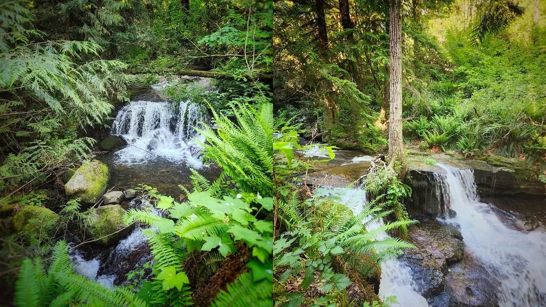 Post 2 by Katie Van Nes eXp Realty 🍁 on Instagram (image)