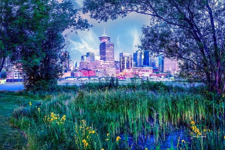 Post 5 by Katie Van Nes eXp Realty 🍁 on Instagram (image)