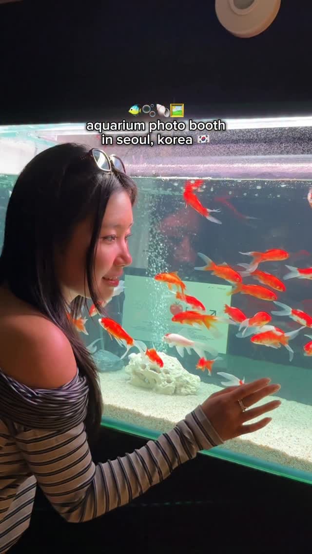 Post 6 by RACHEL ˙ᵕ˙♡ ྀིྀི on Instagram (video)