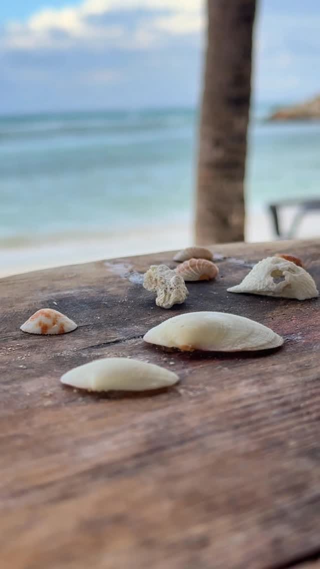 Post 2 by Mahnoor Nadir on Instagram (video)