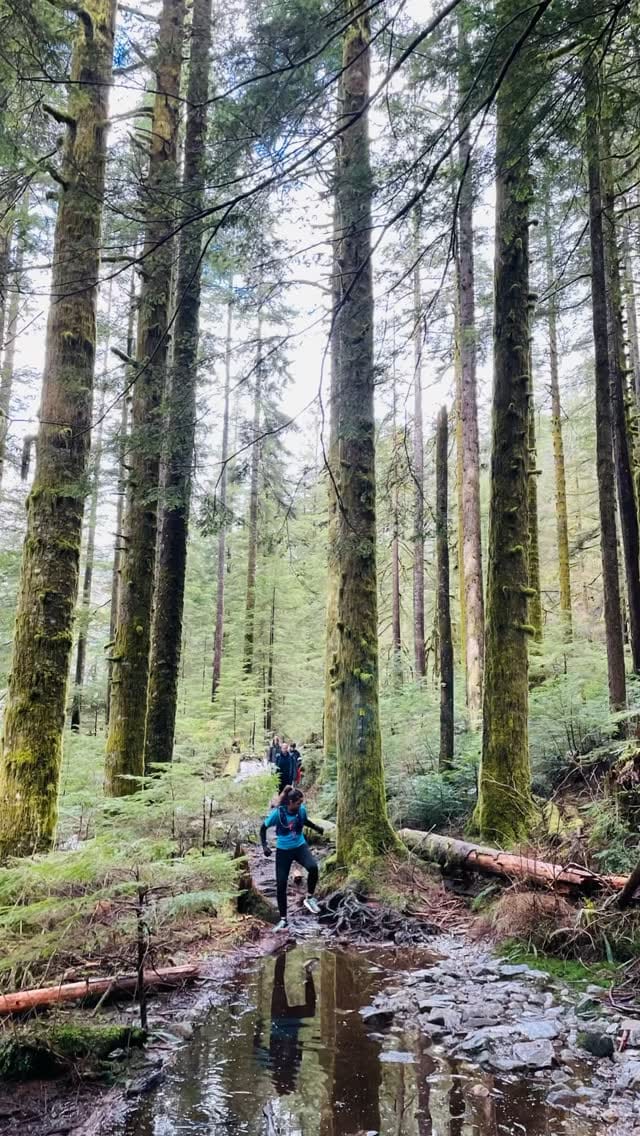 Post 6 by Farah Hussain on Instagram (video)