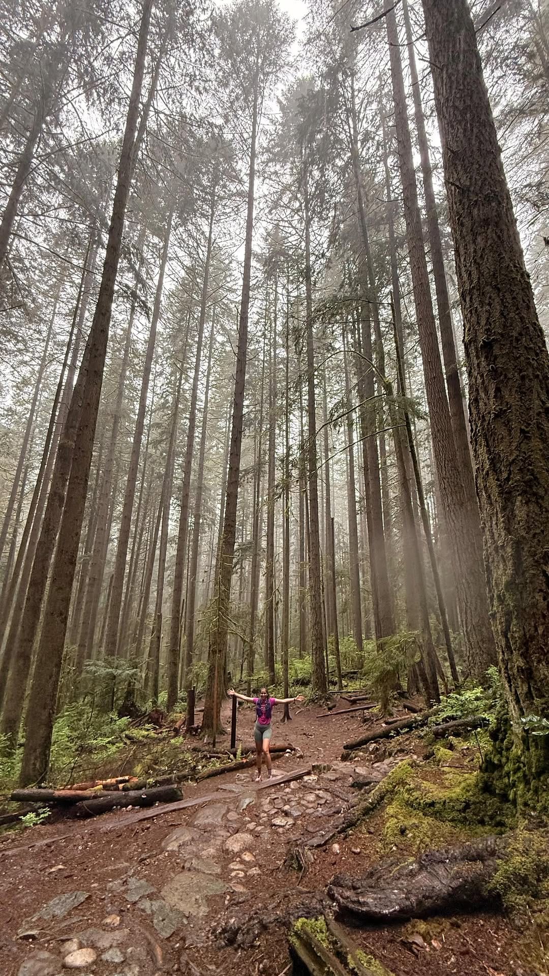 Post 3 by Farah Hussain on Instagram (video)