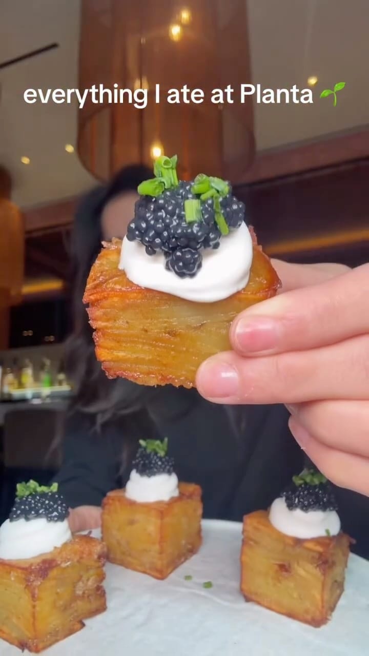 Post 4 by tasmin dhaliwal on Instagram (video)