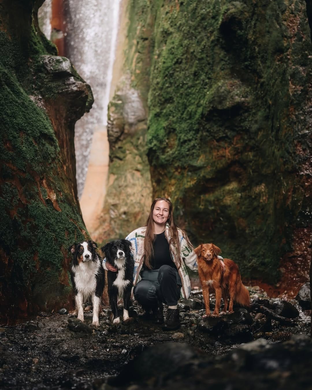 Post 10 by Jamie Fenn | Dipper | Fawkes | Nyx | Sunrise on Instagram (carousel)