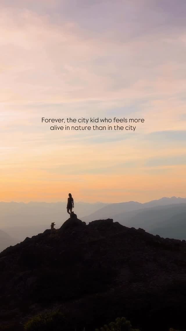 Post 8 by Jamie Fenn | Dipper | Fawkes | Nyx | Sunrise on Instagram (video)