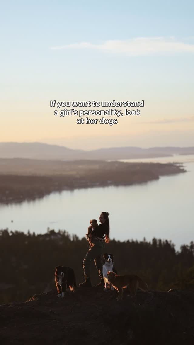 Post 4 by Jamie Fenn | Dipper | Fawkes | Nyx | Sunrise on Instagram (video)
