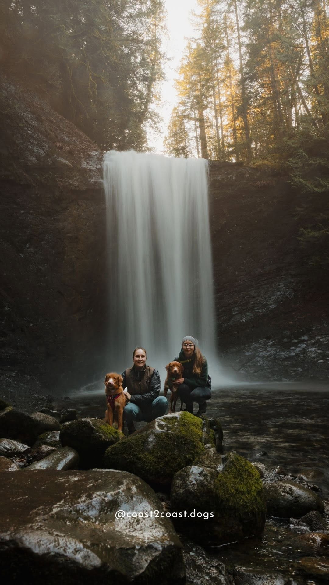 Post 6 by Jamie Fenn | Dipper | Fawkes | Nyx | Sunrise on Instagram (video)