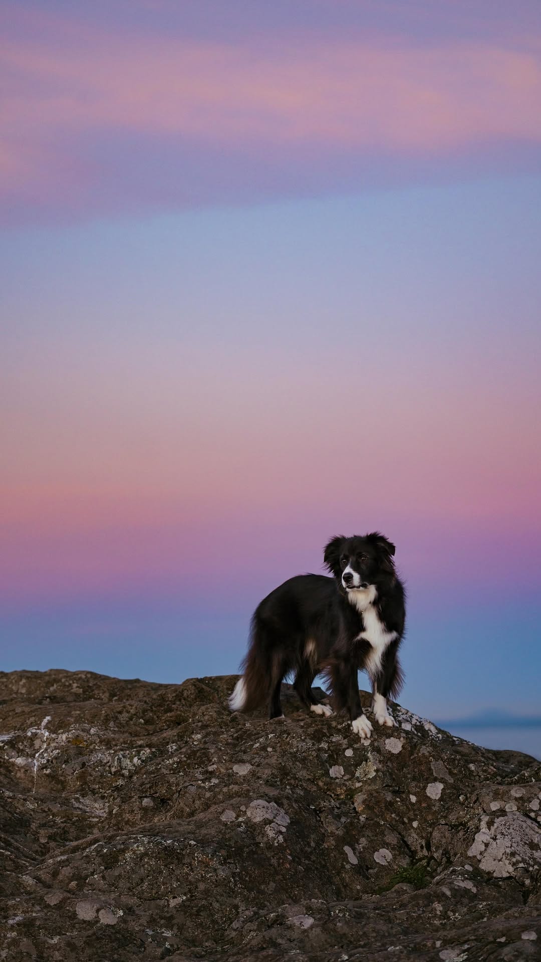 Post 1 by Jamie Fenn | Dipper | Fawkes | Nyx | Sunrise on Instagram (video)