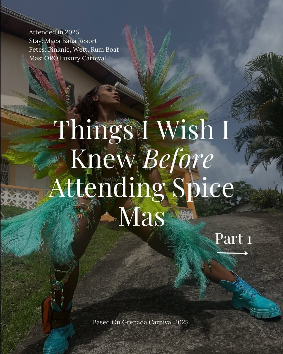 Post 8 by Teisha • Carnival Tips, Travel & Fitness on Instagram (carousel)