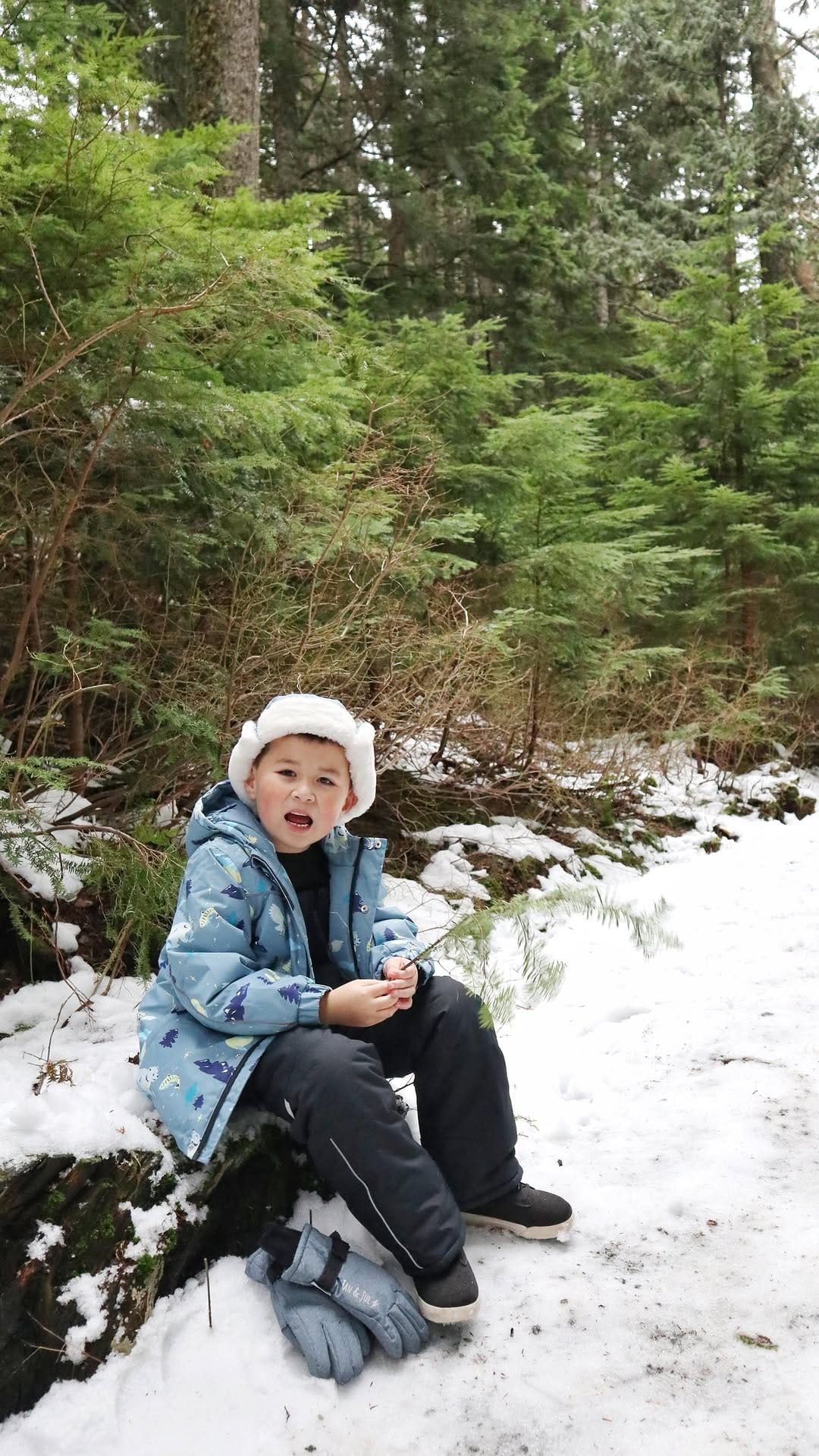 Post 6 by Tilly :: Vancouver Family Outdoor Adventures on Instagram (video)