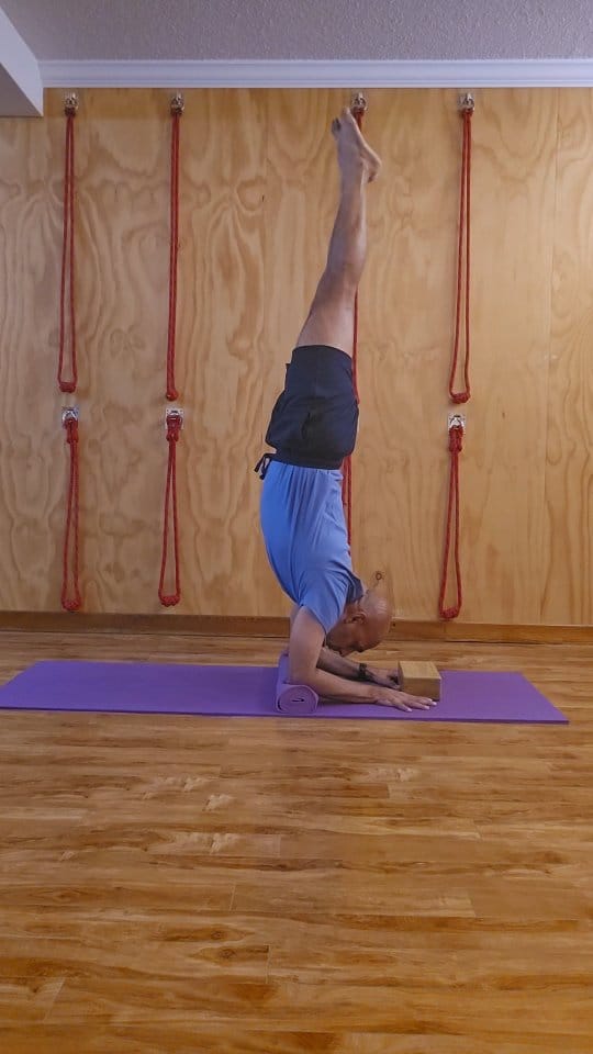 Post 3 by Yogananta - Iyengar Yoga on Instagram (video)