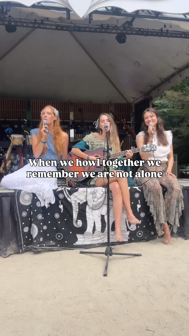 Post 5 by Sonic Springs Music & Arts Festival on Instagram (video)