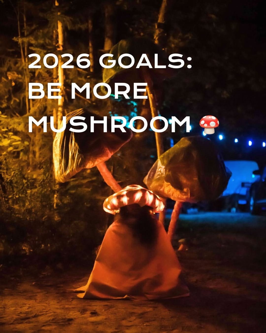 Post 2 by Sonic Springs Music & Arts Festival on Instagram (image)