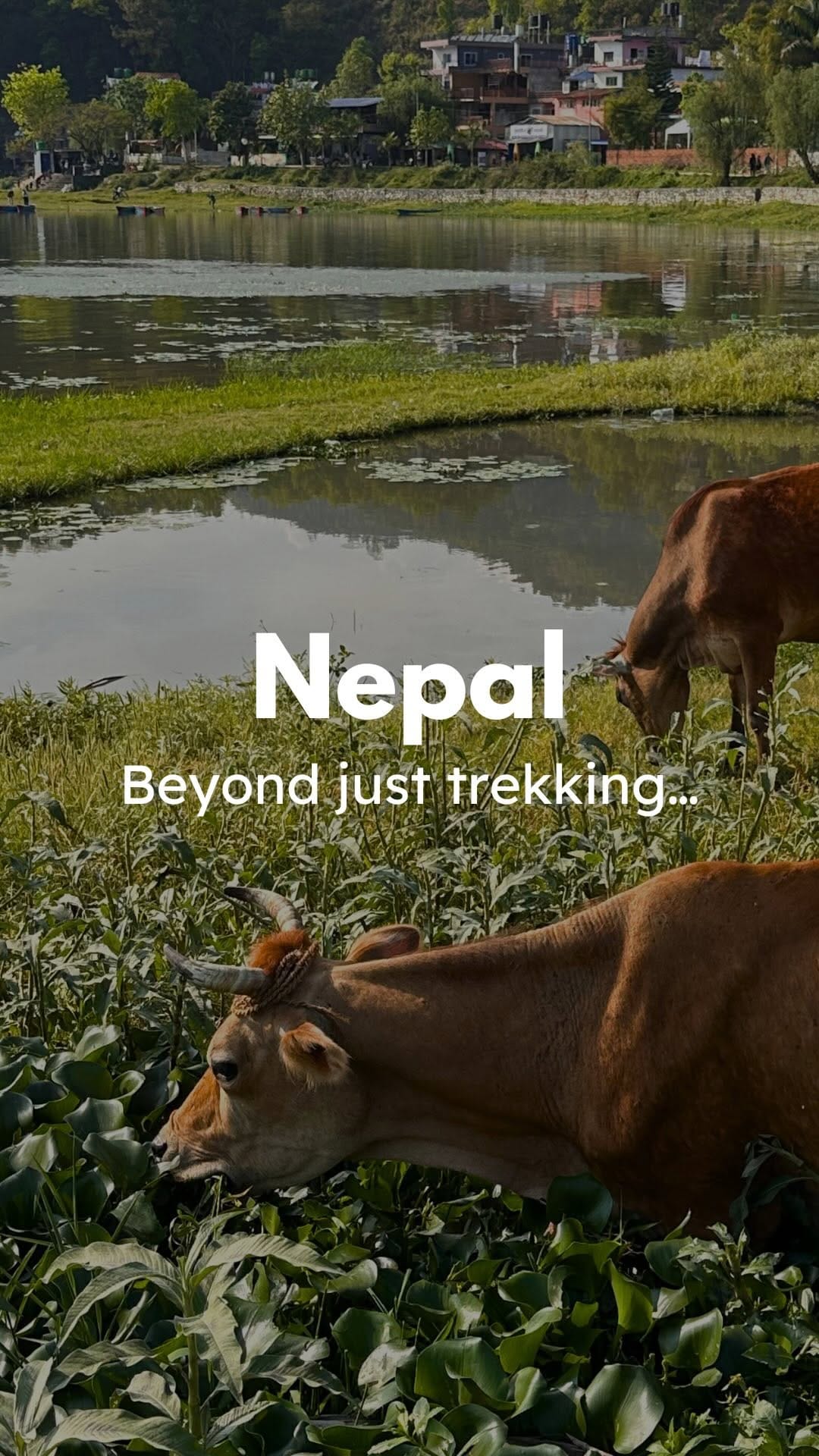 Post 2 by sonia // travel tips + inspiration on Instagram (video)