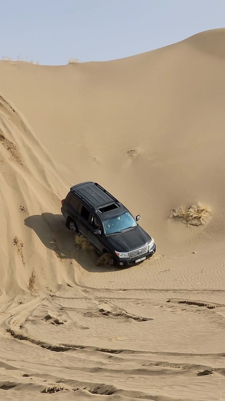 Post 8 by Mohammad Rabani on Instagram (video)