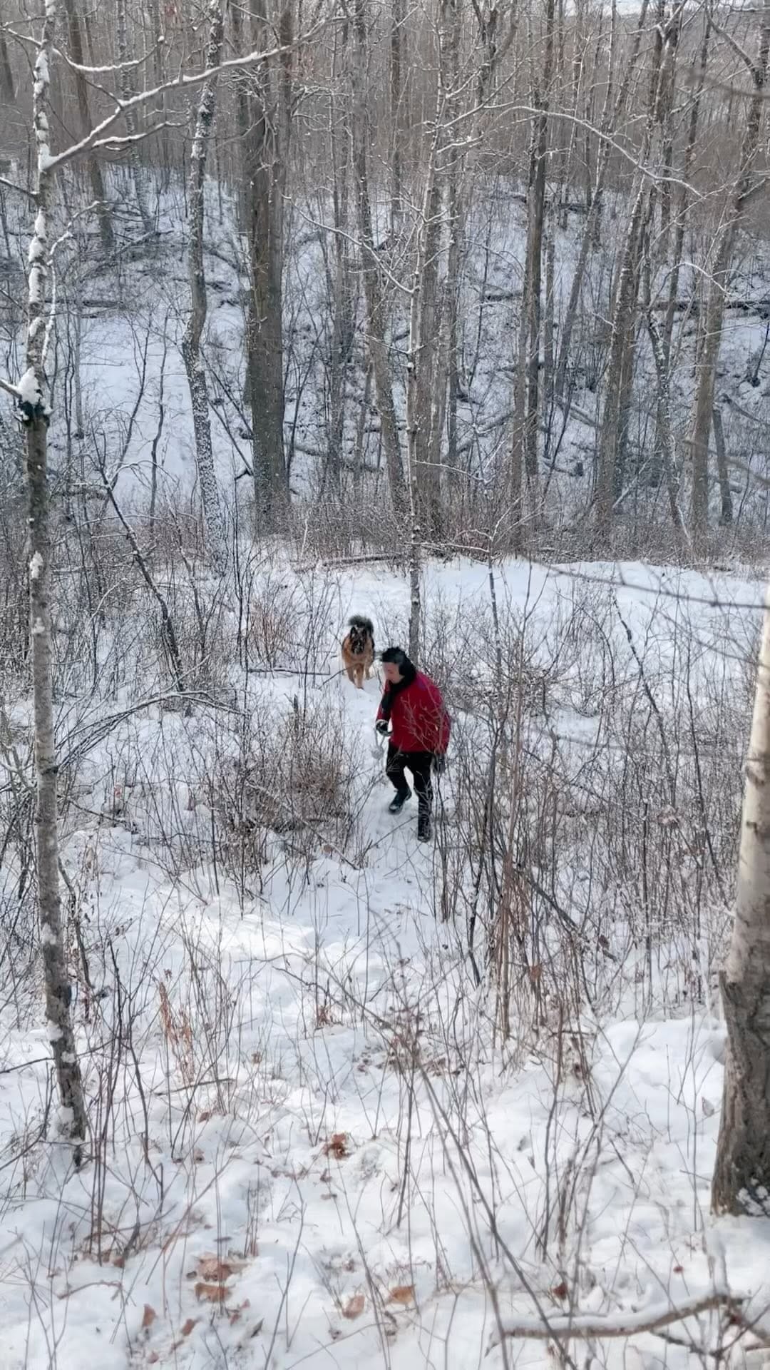 Post 1 by 🍃Yuliya🍃 on Instagram (video)