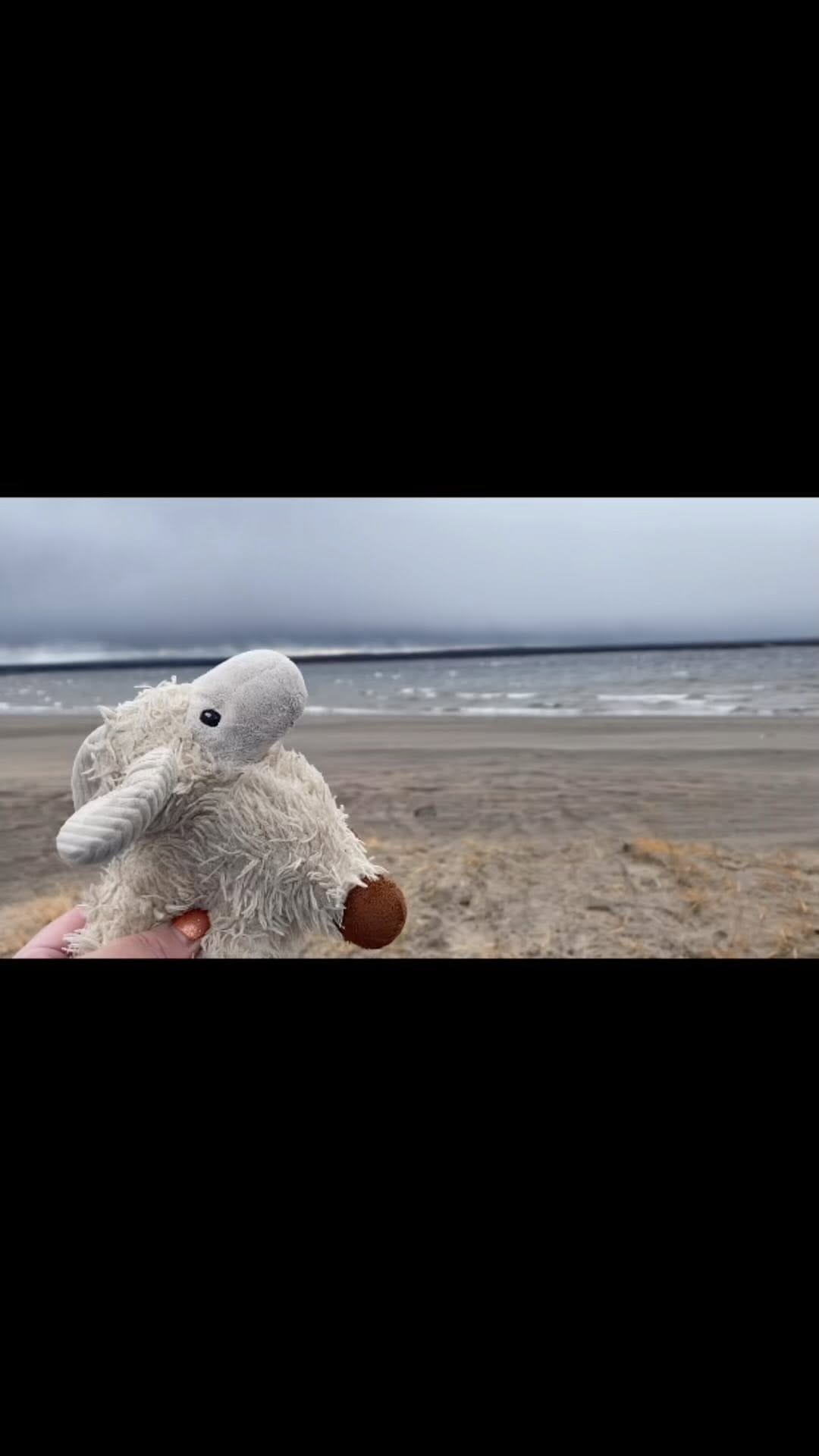 Post 3 by RammyRam on Instagram (video)