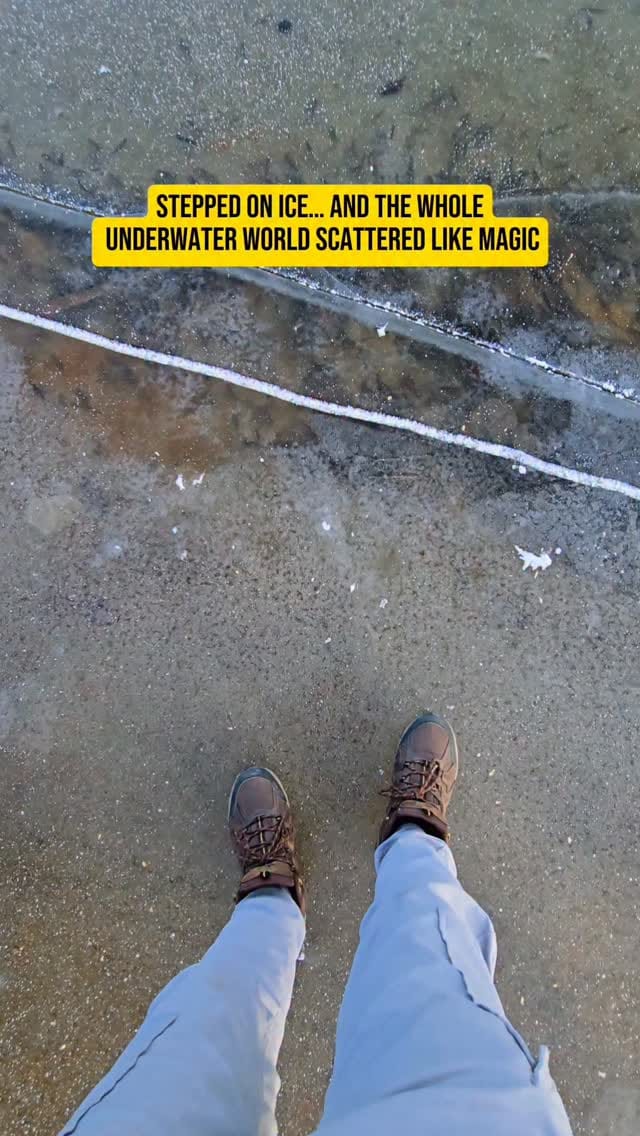 Post 7 by Manvir Singh on Instagram (video)